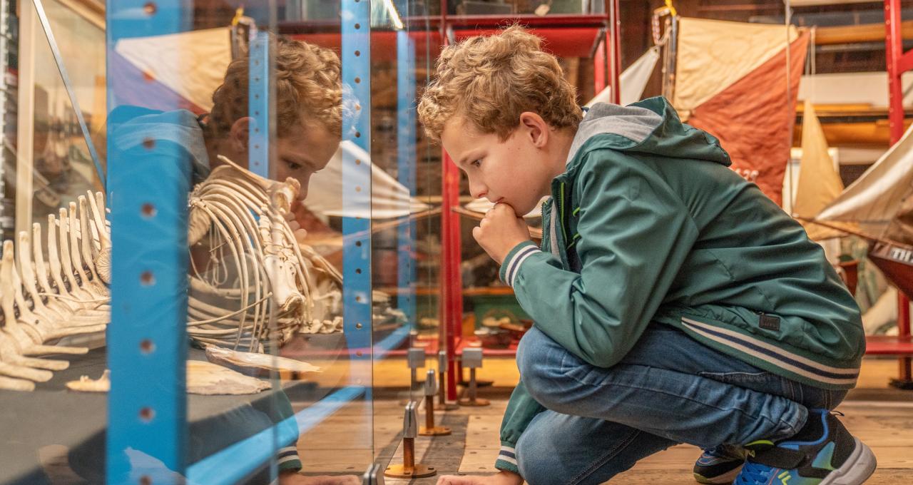 Jongen bewondert open depot vitrine